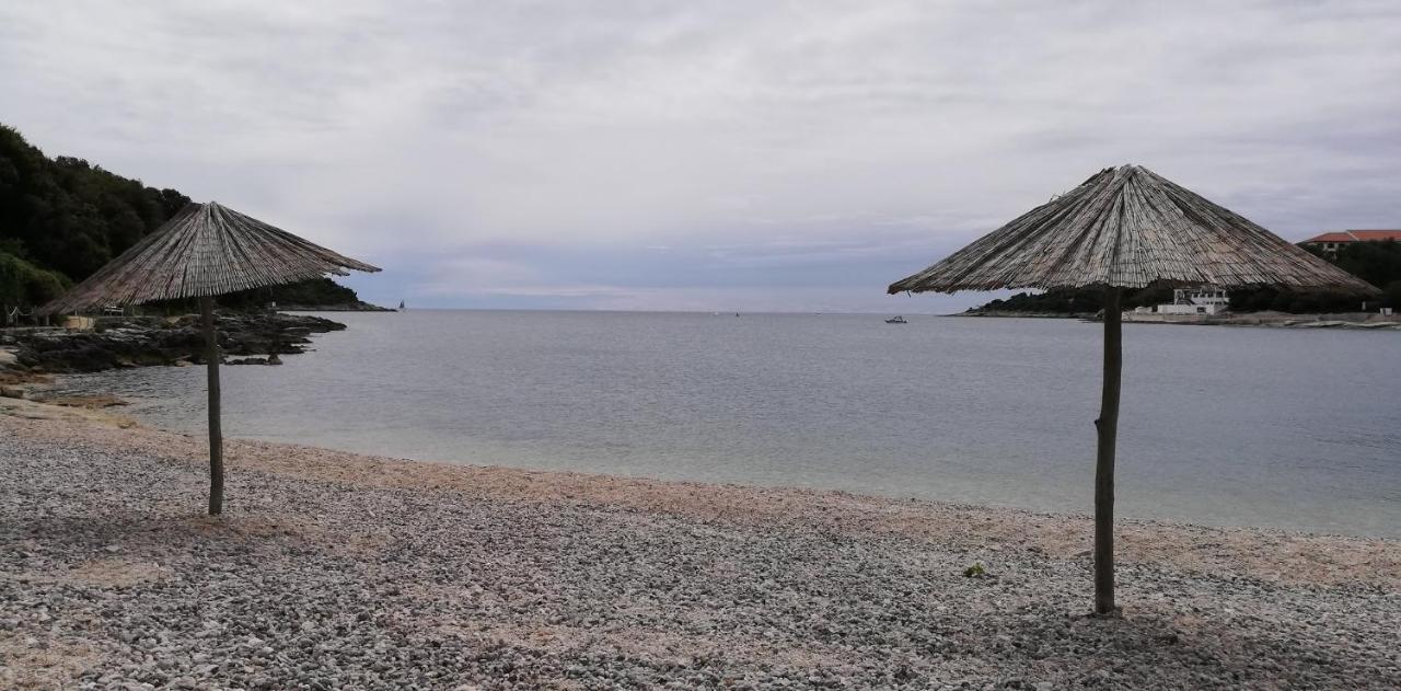 Apartman Emily, 6 Plus 2 Guests, Newly Refurbished PUY Eksteriør bilde
