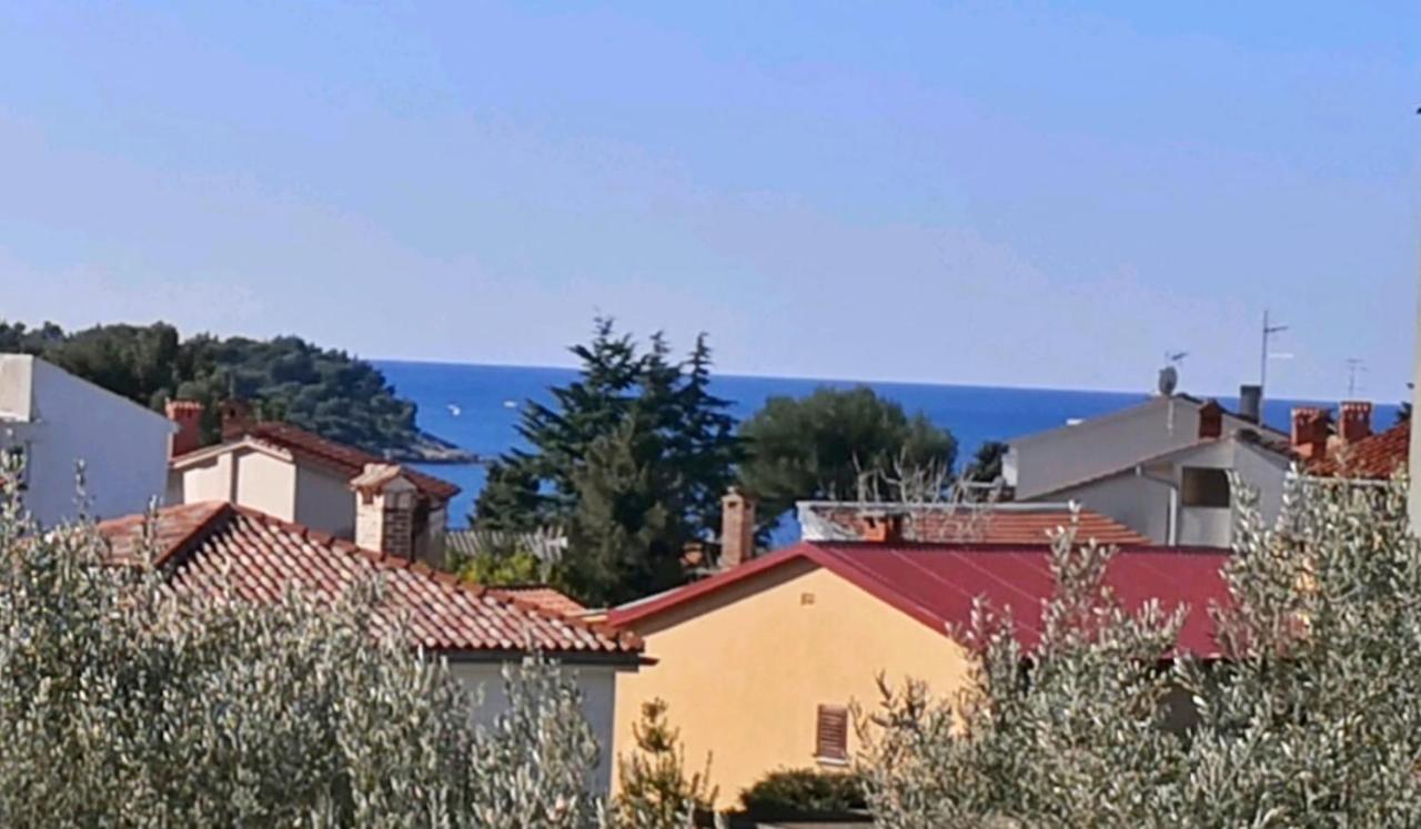 Apartman Emily, 6 Plus 2 Guests, Newly Refurbished PUY Eksteriør bilde